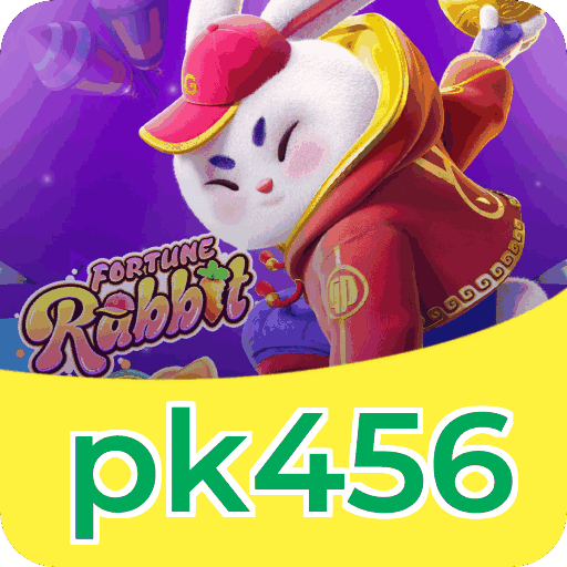 Equipe de suporte ao cliente da pk456